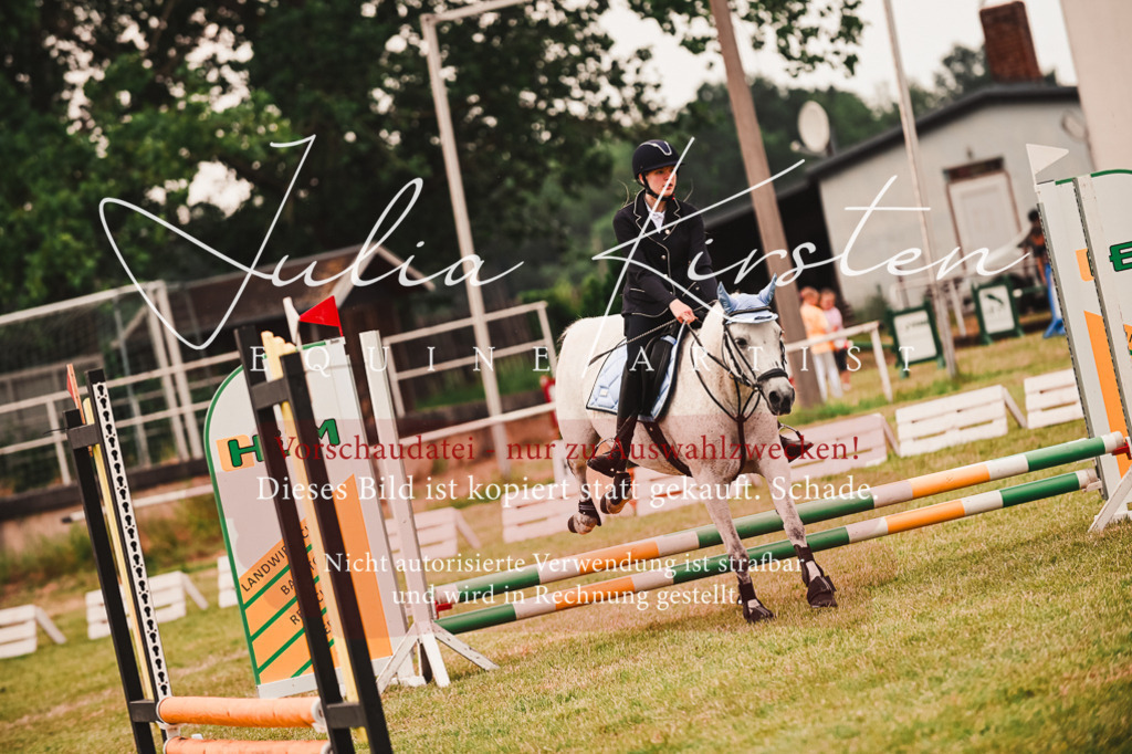 DSC_6956 | Pferde- und Turnierfotografie in Westsachsen. Pferdeportraits, Auftragszeichnungen und intuitive Kunst.