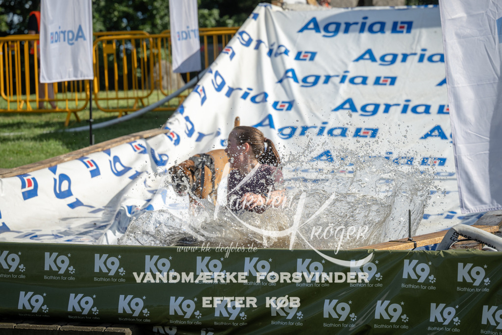 0950_ZZ97151 | kk-dogfotos