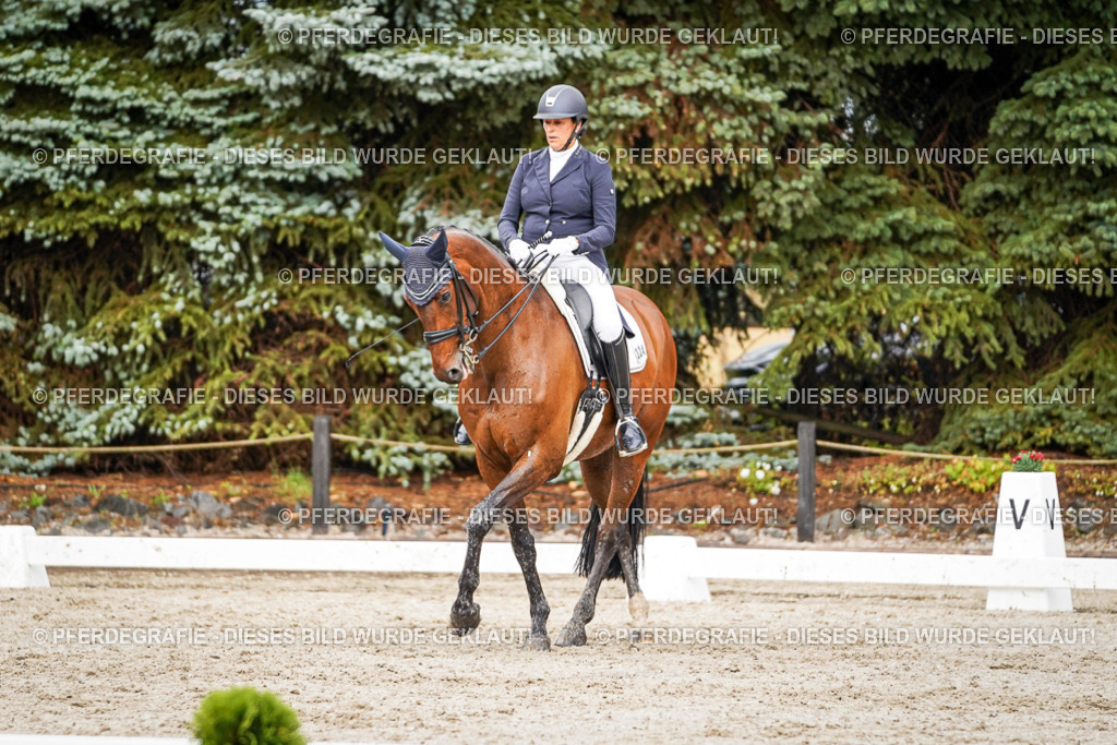 DSC09706 | Pferdegrafie