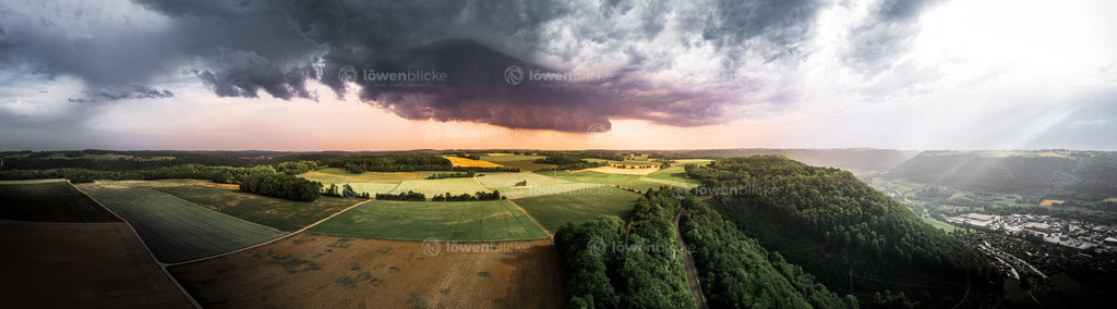 LOEWENBLICKE_DANIEL-SORKALLA_0170 | löwenblicke | shop