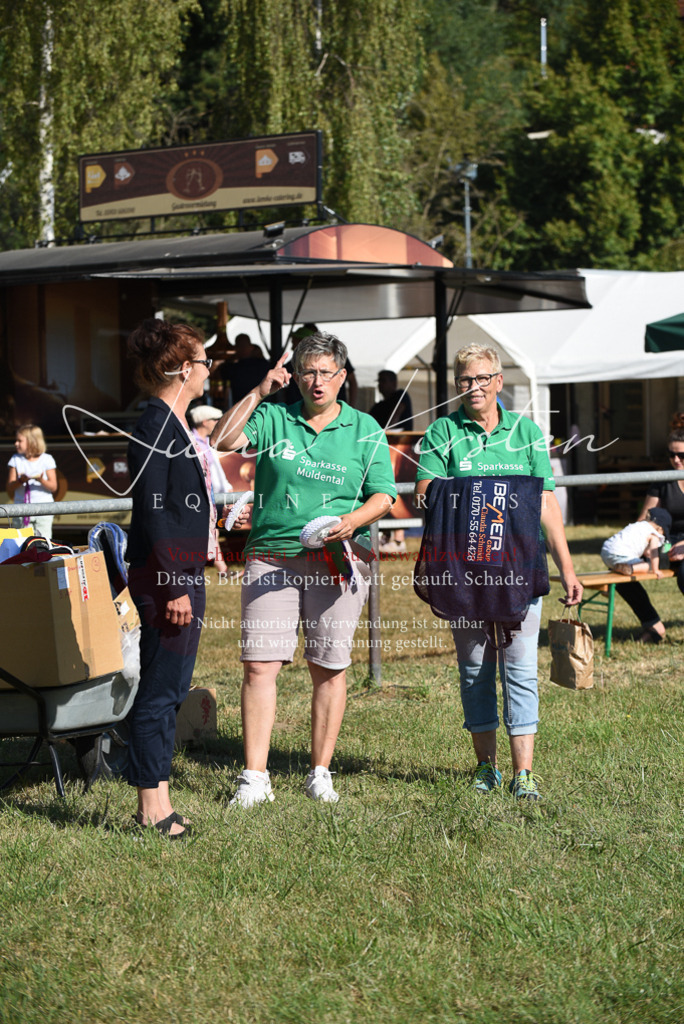 DSC_5429 | Pferde- und Turnierfotografie in Westsachsen. Pferdeportraits, Auftragszeichnungen und intuitive Kunst.