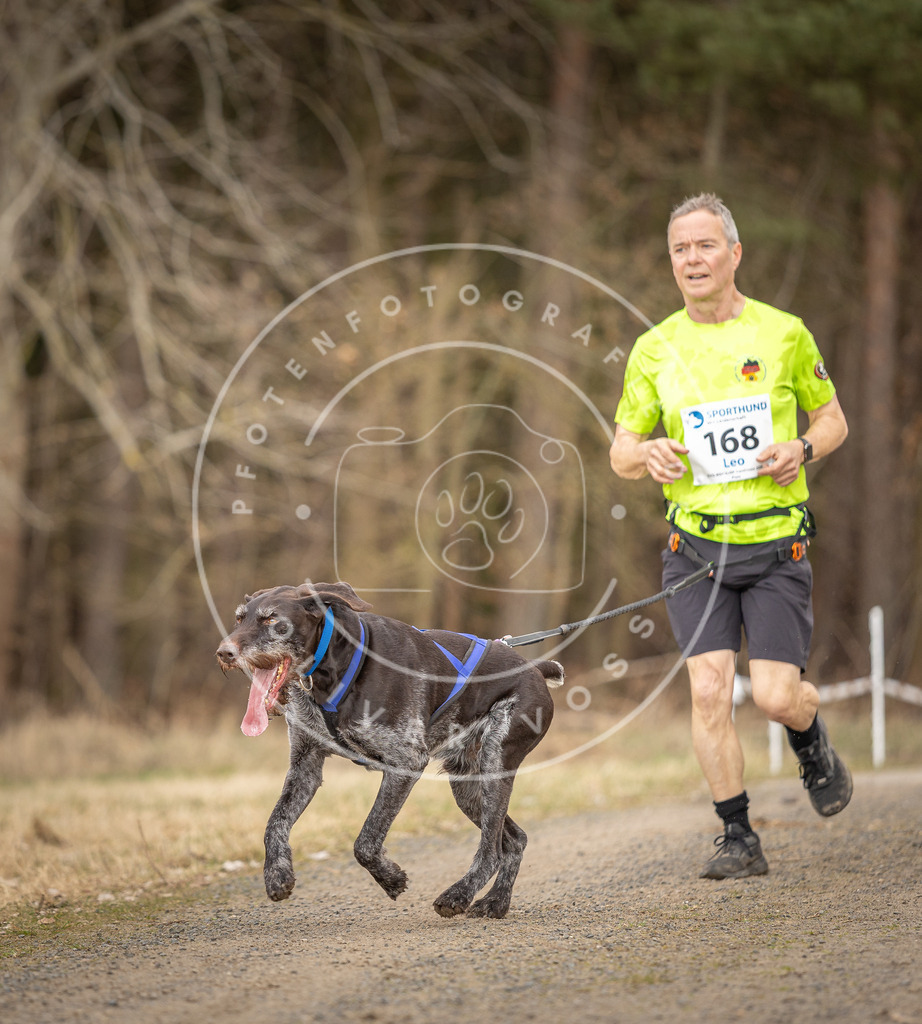 DV3A5261 | Hundefotografie, Tierfotograf, Pfotenfotografie, Fotoshooting Hund, Hunde Portrait, Hundesport, Hundeportraits, Heideshooting, Hunde, Sportfotograf, Hundefotograf, Turnierhundsport, THS,  - Realisiert mit Pictrs.com