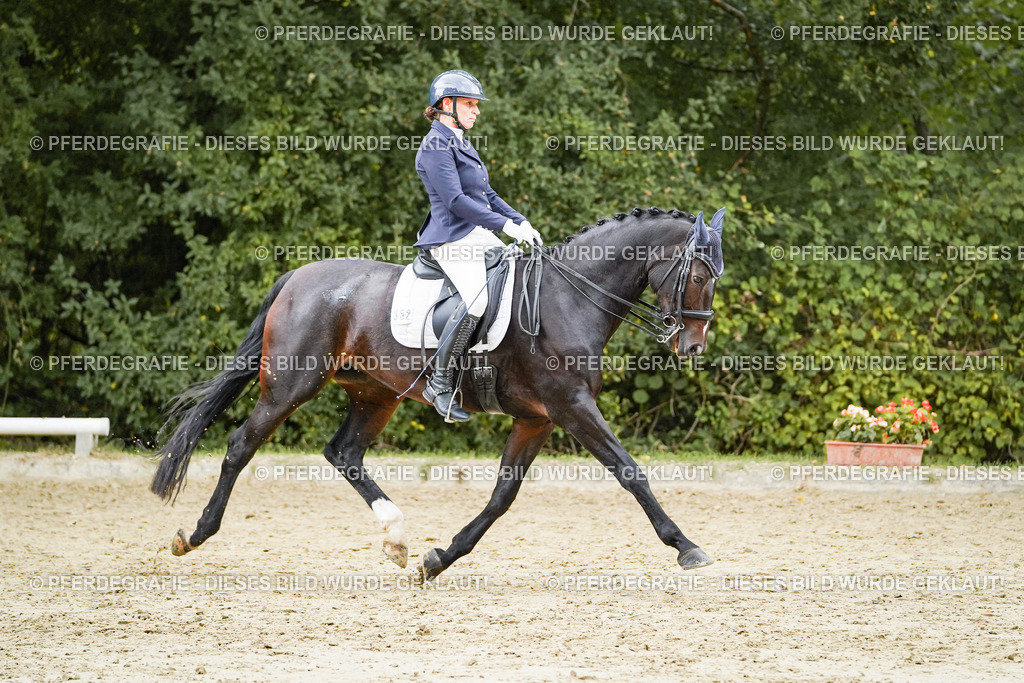 DSC06187 | Pferdegrafie