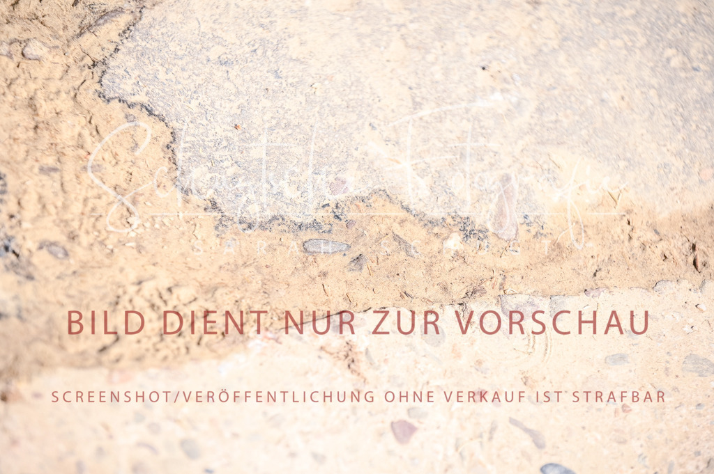 Schugtsche-Aluta25-52.Dressurprf.M2Kand-514 | Schugtsche Fotografie - Realized with Pictrs.com