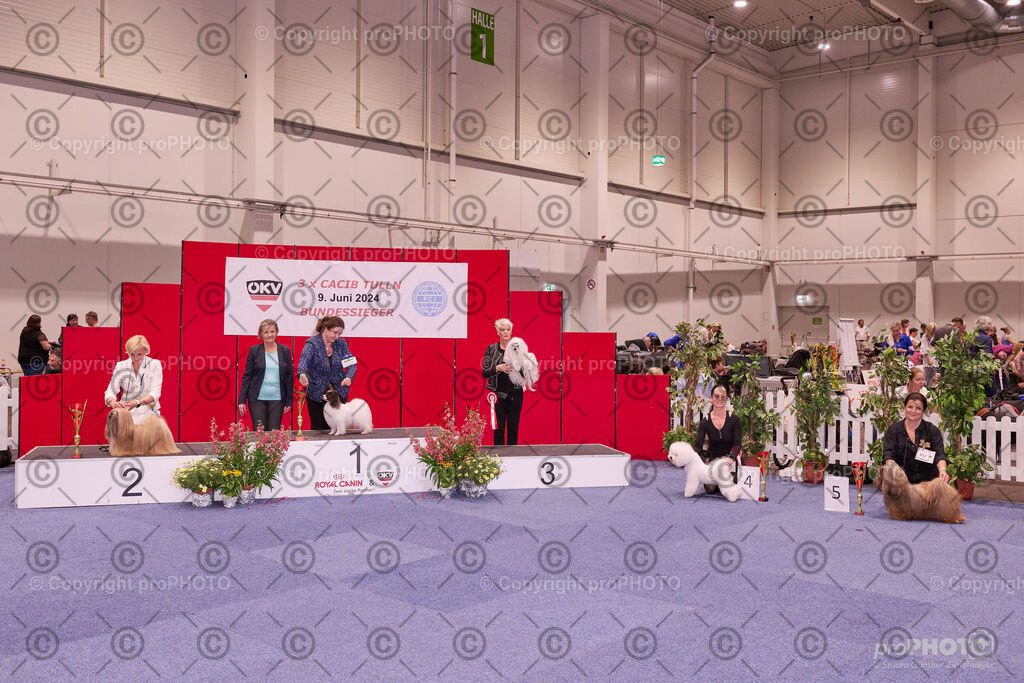 202406_ÖKV-IHA-Tulln24_NZ9_9569 | proPHOTO - Realisiert mit Pictrs.com