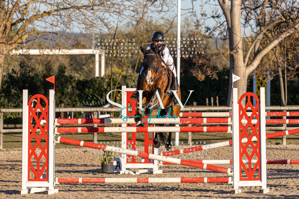 IMG_2870 | s-jay-photography - Realisiert mit Pictrs.com