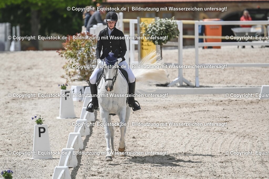 20250516_CCI2_Dressur_0141 | Foto: Thomas Hartig