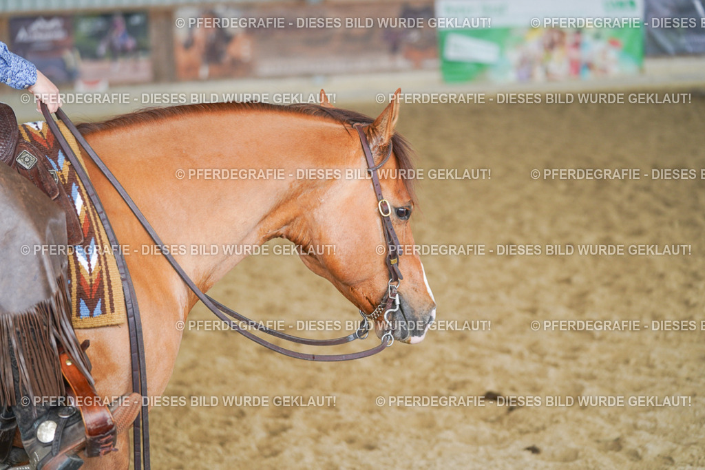 DSC01586 | Pferdegrafie