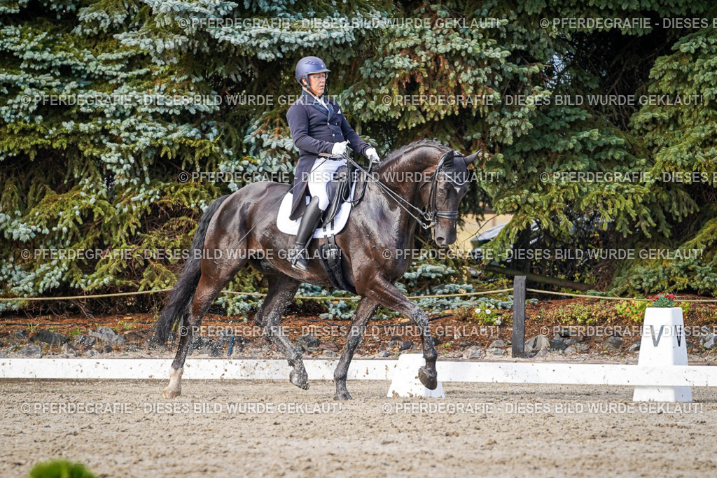 DSC00433 | Pferdegrafie