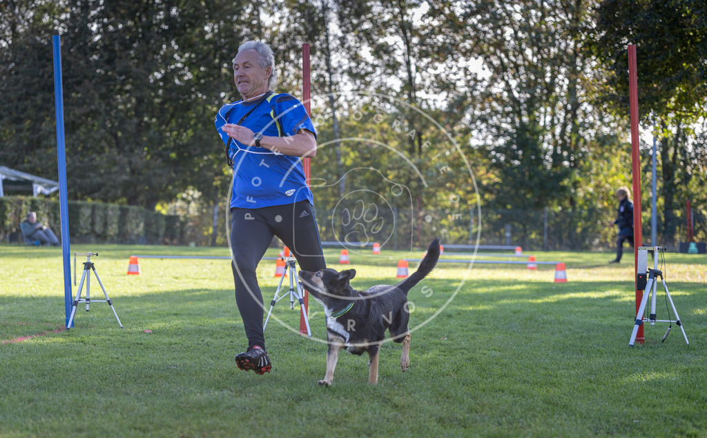 Pfotenfotografie.de_DV3A3094 | Hundefotografie, Tierfotograf, Pfotenfotografie, Fotoshooting Hund, Hunde Portrait, Hundesport, Hundeportraits, Heideshooting, Hunde, Sportfotograf, Hundefotograf, Turnierhundsport, THS, canicross - Realisiert mit Pictrs.com