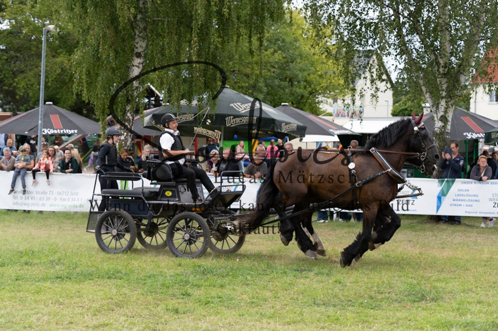 A7V06169 | Turnier/Reitfotograf