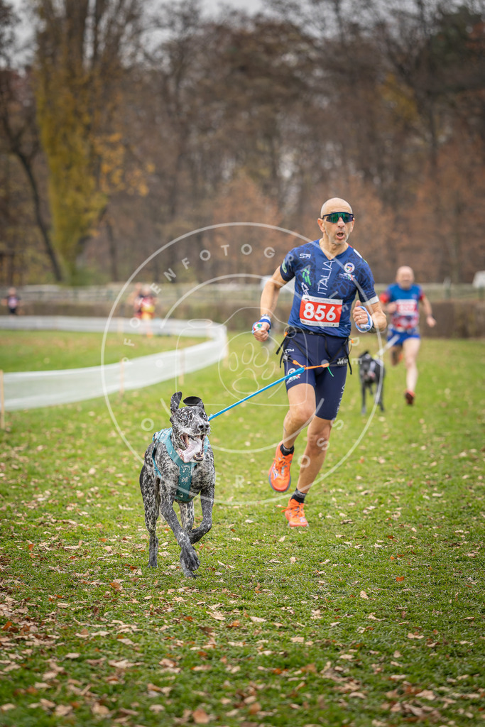 CaniXpix_DV3A6636 | Hundefotografie, Tierfotograf, Pfotenfotografie, Fotoshooting Hund, Hunde Portrait, Hundesport, Hundeportraits, Heideshooting, Hunde, Sportfotograf, Hundefotograf, Turnierhundsport, THS,  - Realisiert mit Pictrs.com