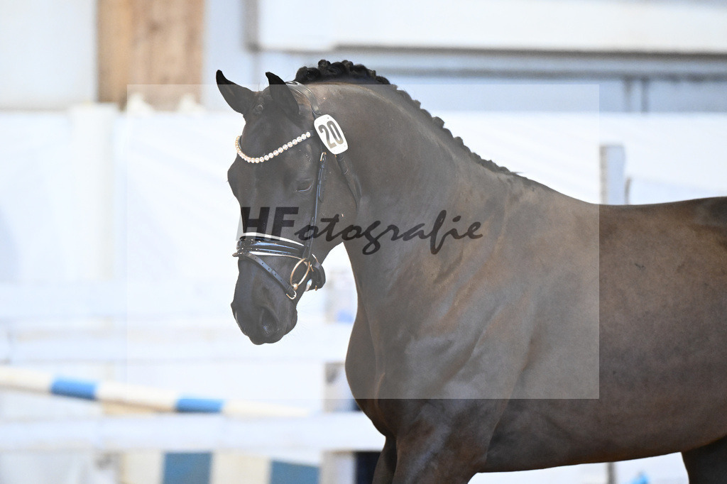 Kat-Nr. 20 v. Marc Cain_Seiler_6240446 | hf-fotografie - Realisiert mit Pictrs.com