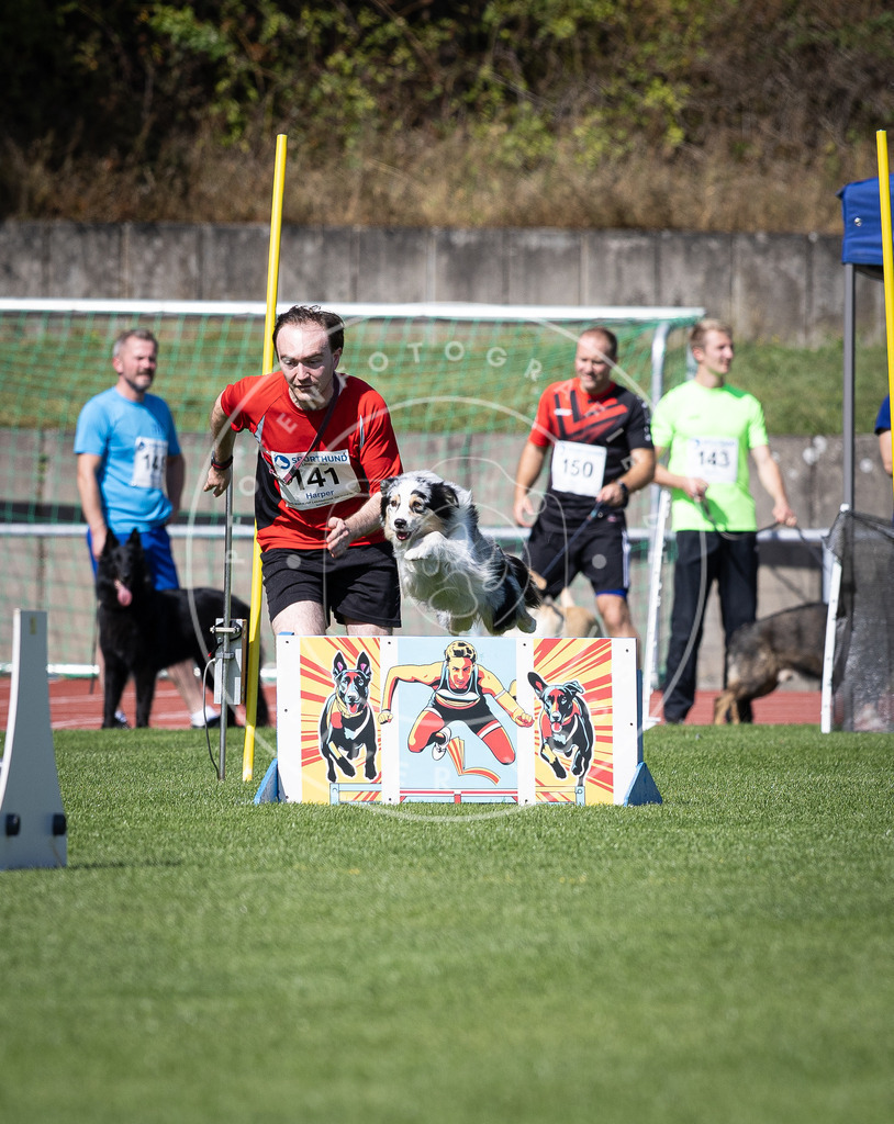 Pfotenfotografie_DV3A9101 | Hundefotografie, Tierfotograf, Pfotenfotografie, Fotoshooting Hund, Hunde Portrait, Hundesport, Hundeportraits, Heideshooting, Hunde, Sportfotograf, Hundefotograf, Turnierhundsport, THS,  - Realisiert mit Pictrs.com