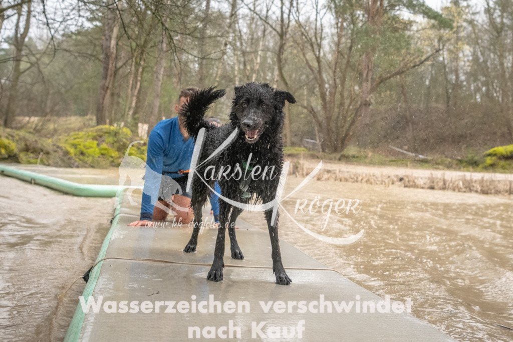 1053_ZZ93705-Bearbeitet | kk-dogfotos