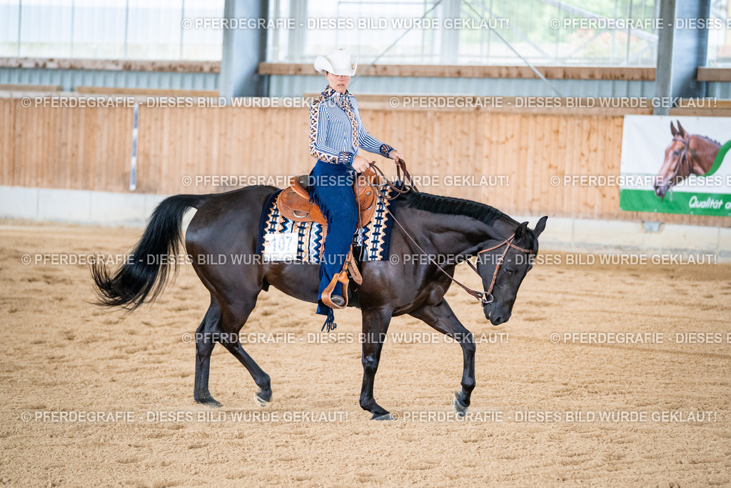 DSC01932 | Pferdegrafie