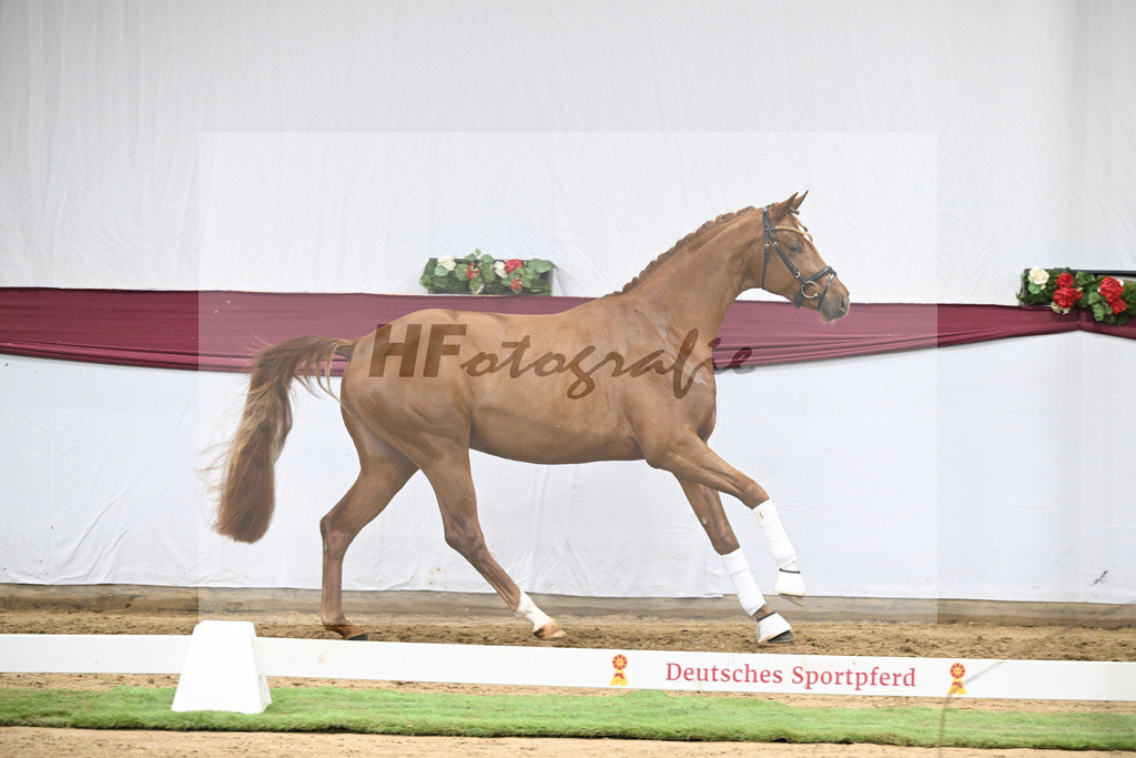 Kat-Nr. 133 Von Und Zu x Locksley III_Sabine Lehner_47254502 | hf-fotografie - Realisiert mit Pictrs.com