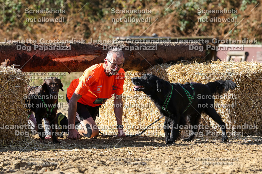 Dog Paparazzi - Strongdog 10-25-4674 | Dog Paparazzi Jeanette Grottendiek Fotografie & Videografie - Realisiert mit Pictrs.com