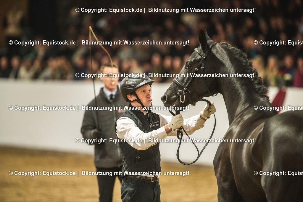 20240302_Hengstvorstellung_Marbach_TOMsPiC_1285 | equistock