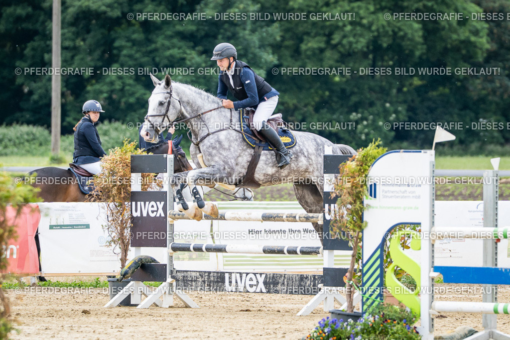 DSC05370 | Pferdegrafie