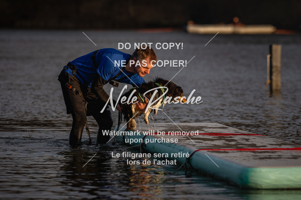 nelerasche_Hulsbeek_Sa1700-1730_465 | nelerasche