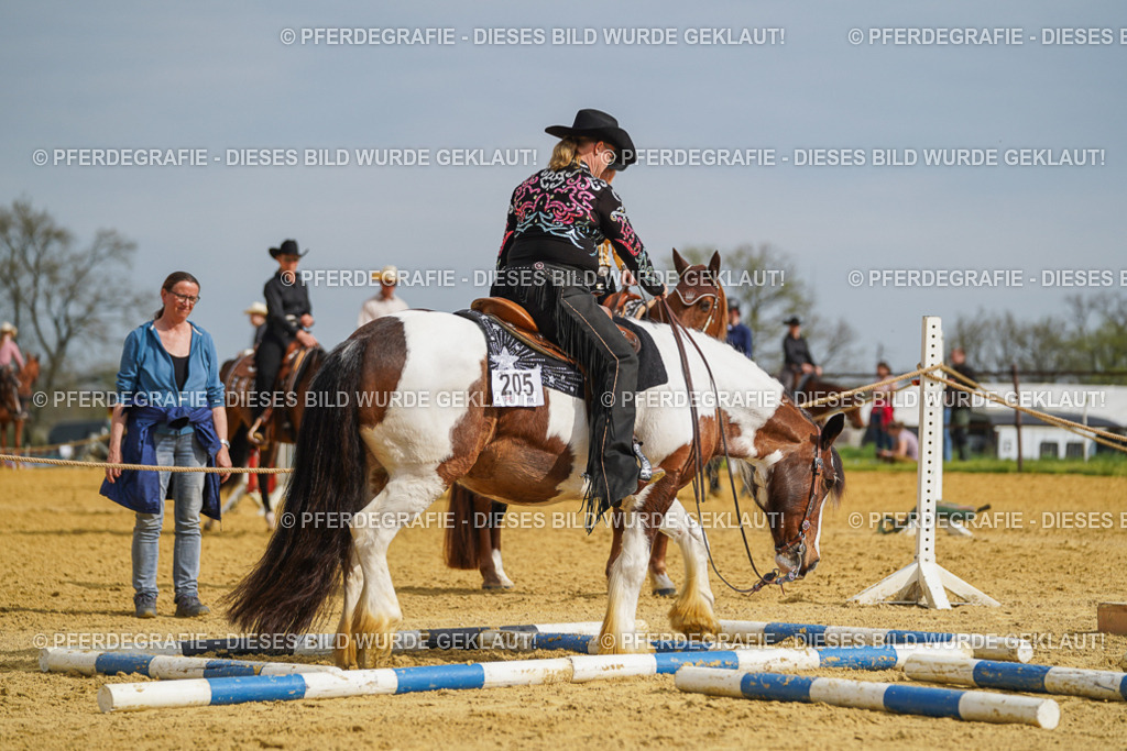 DSC02099 | Pferdegrafie