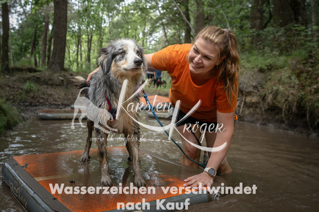 1219_ZZ98479 | kk-dogfotos