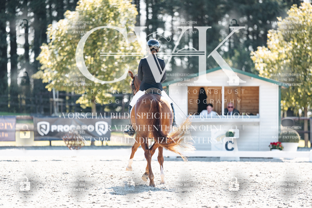 CK906041 | Turnierfotografie Pferdefotografie Trier Rheinland-Pfalz Pferdesport Reitsport Tierfotografie Sportfotografie Pferdevideo Pferdevideografie Equestrianvideography equestrianphotography  - Realisiert mit Pictrs.com