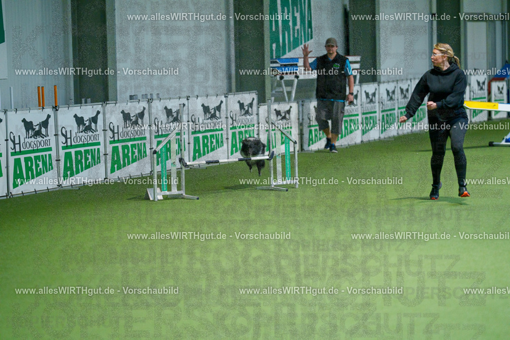 @allesWIRTHgut_Tierfotografie - www.allesWIRTHgut.de - 2604250841-7R507397 | Professionelle Tierfotografie in Mönchengladbach von Daniel Wirth (allesWIRTHgut). Liebevolle & natürliche Bilder von Hunden & Katzen für unvergessliche Erinnerungen.