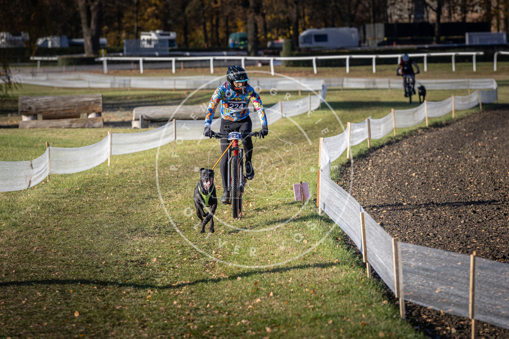 CaniXpix_DV3A3571 | Hundefotografie, Tierfotograf, Pfotenfotografie, Fotoshooting Hund, Hunde Portrait, Hundesport, Hundeportraits, Heideshooting, Hunde, Sportfotograf, Hundefotograf, Turnierhundsport, THS,  - Realisiert mit Pictrs.com