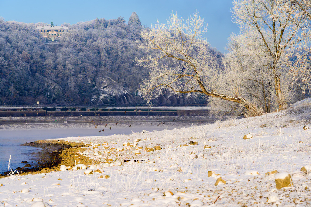 Eisiges Rheinufer bei Unkel | Im Hintergrund die ehemalige französische Botschaft. 