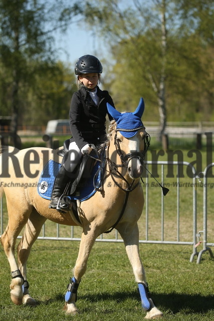 Meißenheim_2022_Stilspring-WB_ohne erlaubte Zeit_Xenia Leonie Späth_Spring Star_s Alex (1) | Alle Fotos der Reiterjournal Fotografin Doris Matthaes im Reiterjournal Online-Fotoshop. - Realisiert mit Pictrs.com