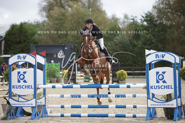 1J2A9560Maike Thormann_ Constanzehof_s Numa_ Kn282_ Havekost | Foto- und Videografie für alles rund ums Pferd. Hochwertige Bilder und Videos vom Spring- und Dressurreiten, Voltigieren & mehr. Jetzt aktuelle Veranstaltungen und Preise im Shop ansehen. - Realisiert mit Pictrs.com