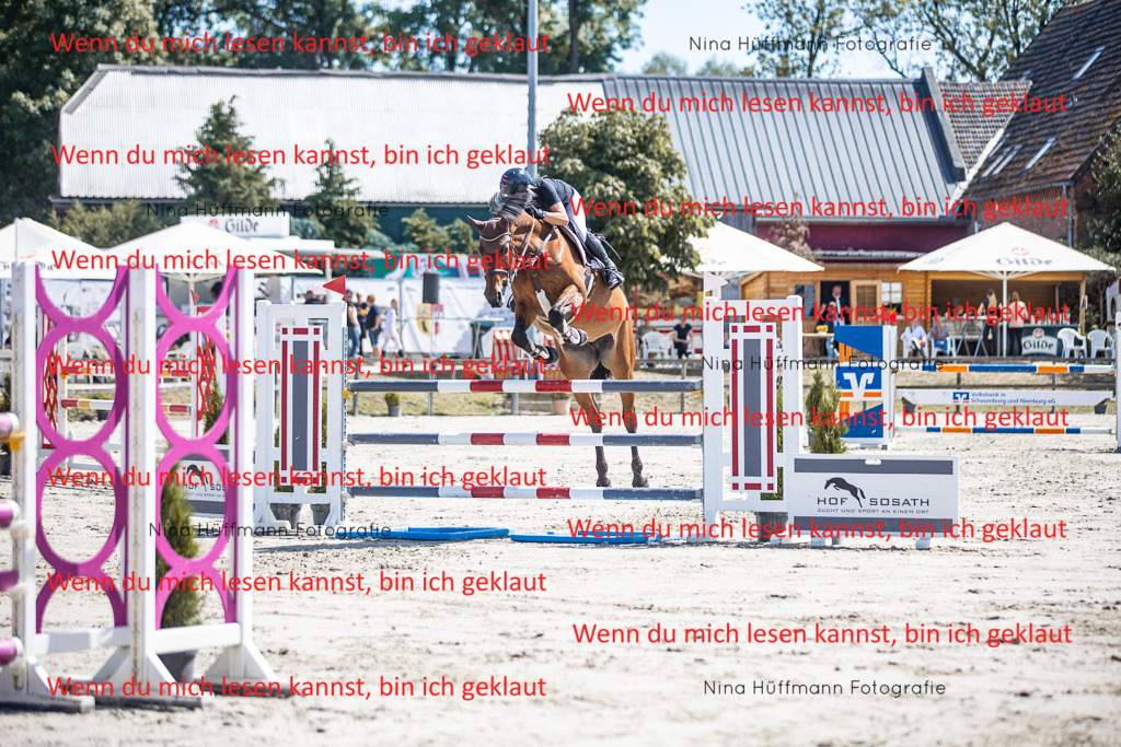 BK1A6341 | Turnierbilder Turnierfotos Nina Hüffmann Turnierfotografie Pferdefotografie Tierzeichnung Haustierzeichnung Pferdezeichnung Hundezeichnung Videograf  - Realisiert mit Pictrs.com