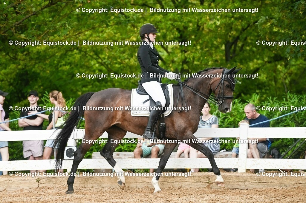 20230716_01_Dressurprüfung Kl.M_0510 | equistock
