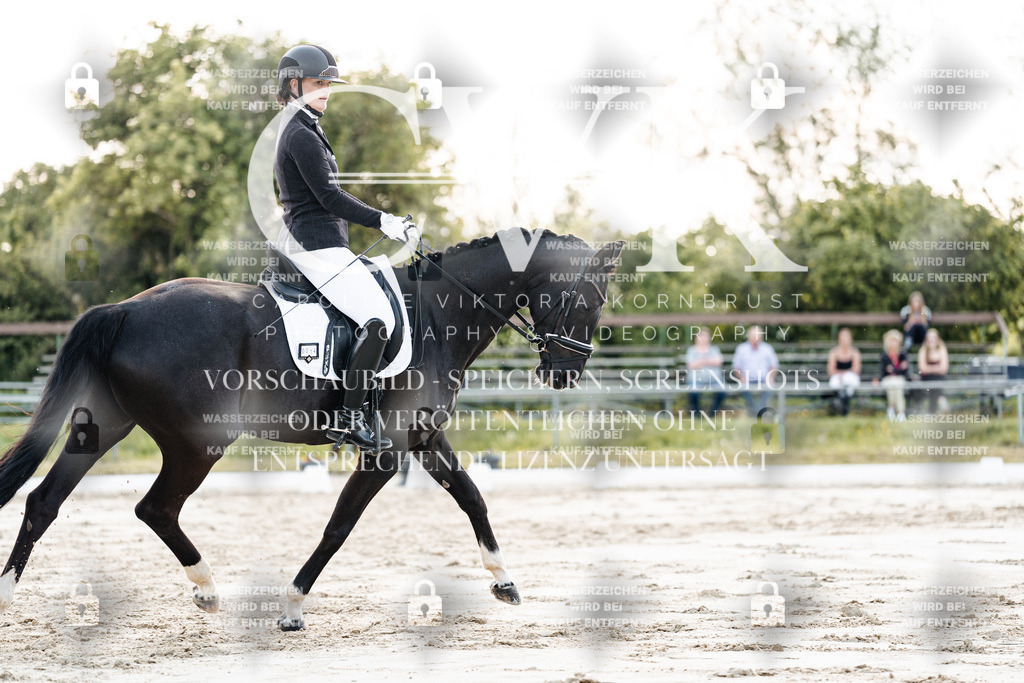 CK909423 | Turnierfotografie Pferdefotografie Trier Rheinland-Pfalz Pferdesport Reitsport Tierfotografie Sportfotografie Pferdevideo Pferdevideografie Equestrianvideography equestrianphotography  - Realisiert mit Pictrs.com