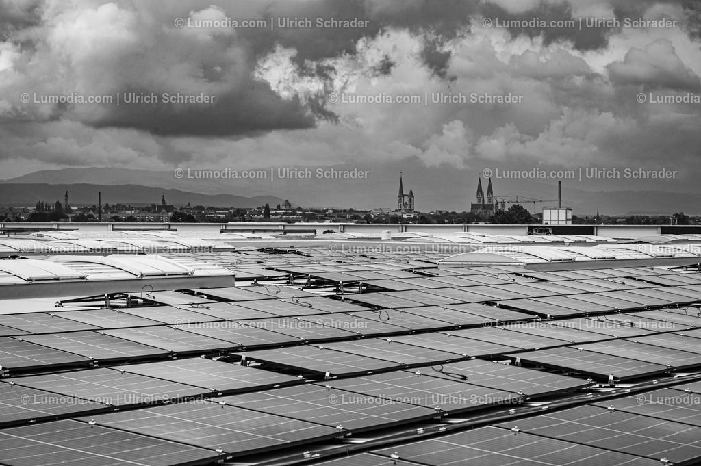 10049-52102 - Daimler Truck Halberstadt | Stockfoto und Bilderpool mit Bildmaterial aus Deutschland, dem Harz, Halberstadt, Quedlinburg, Wernigerode und weltweit. Qualitativ hochwertige und professionelle Fotos anschauen und kaufen. - Realisiert mit Pictrs.com