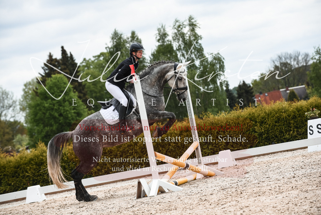 20230518_JK-Röhrsdorf-10-421 | Pferde- und Turnierfotografie in Westsachsen. Pferdeportraits, Auftragszeichnungen und intuitive Kunst.