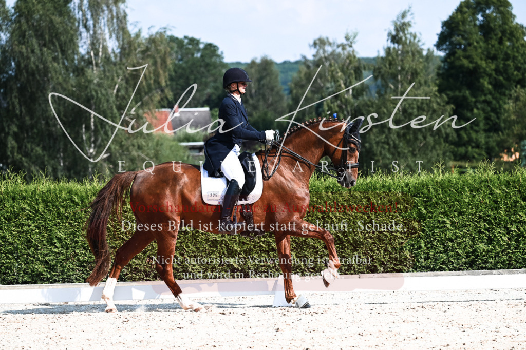 DSC_3432 | Pferde- und Turnierfotografie in Westsachsen. Pferdeportraits, Auftragszeichnungen und intuitive Kunst.