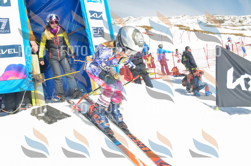 _ELE6208 | holidayphoto