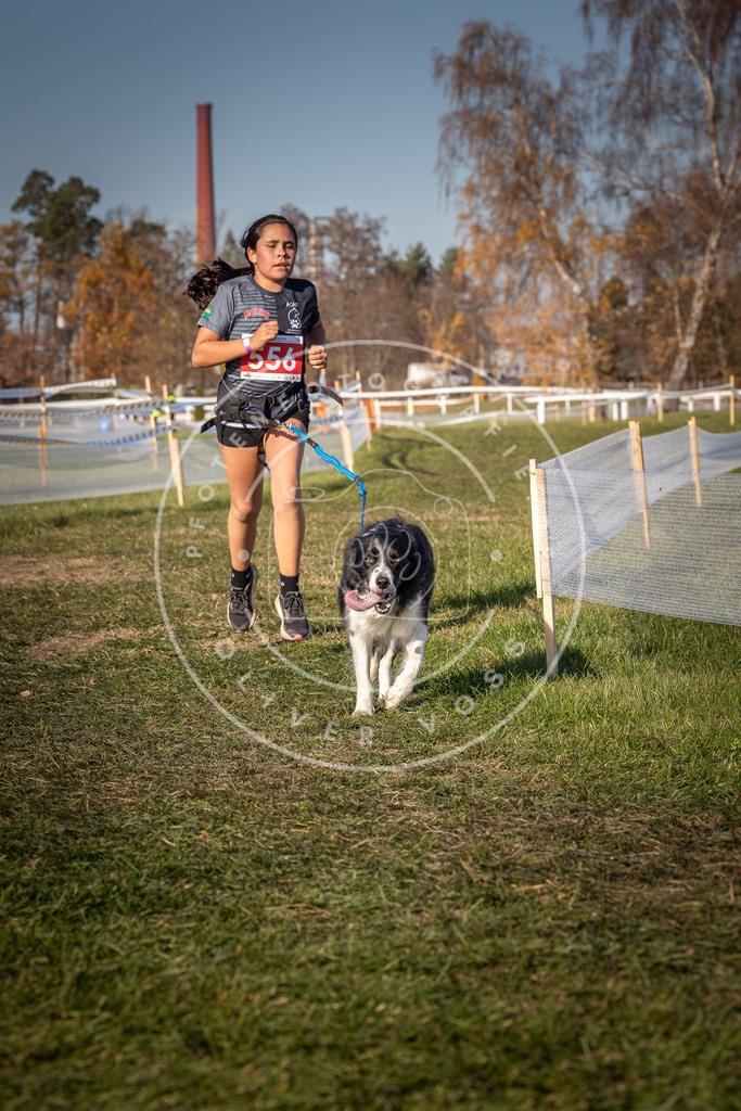 CaniXpix_0L8A7881 | Hundefotografie, Tierfotograf, Pfotenfotografie, Fotoshooting Hund, Hunde Portrait, Hundesport, Hundeportraits, Heideshooting, Hunde, Sportfotograf, Hundefotograf, Turnierhundsport, THS,  - Realisiert mit Pictrs.com