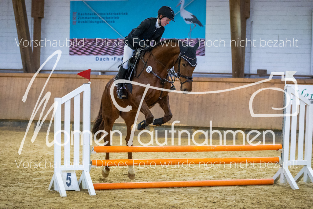 Sth-WBO25-Spr65cm-070 | MomenTaufnahmen Pferdesportfotos