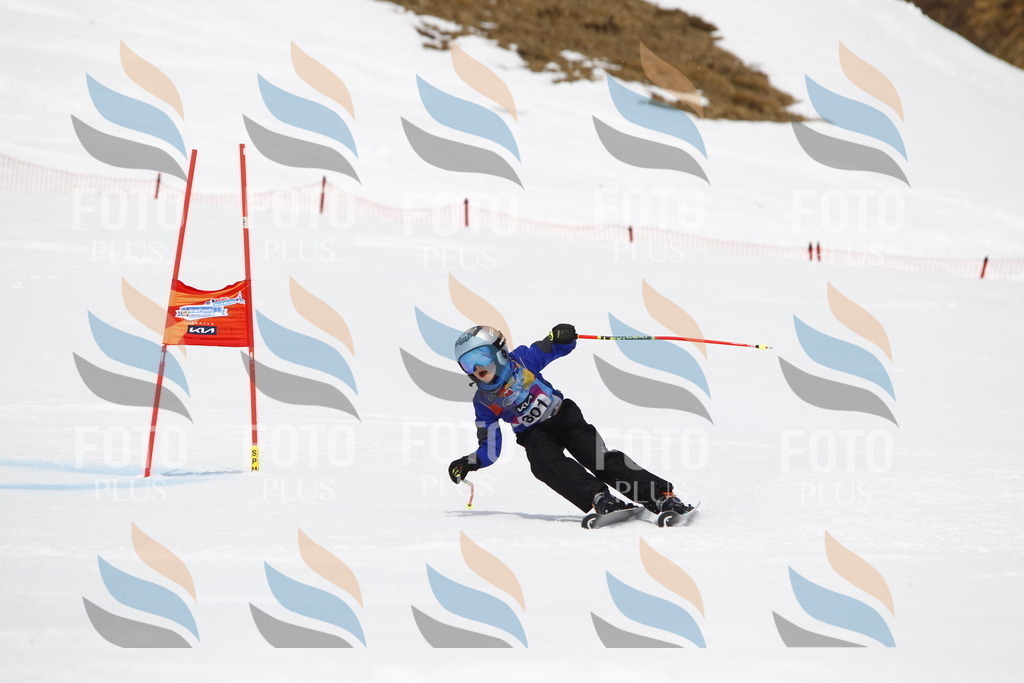 _U3G7490 | holidayphoto