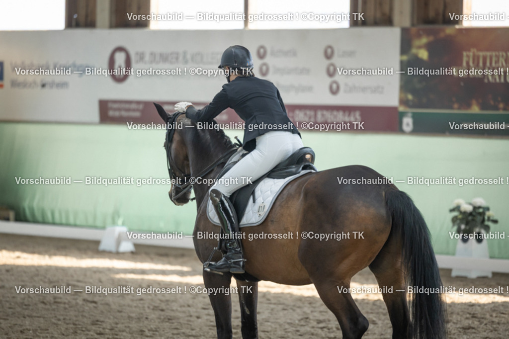 _D5A2959 | Emotionale Pferde- & People-Fotografie rund um Heidelberg, Leimen & Umgebung. Natürliche Fotos von Pferd, Mensch & Familie. Jetzt Termin sichern!