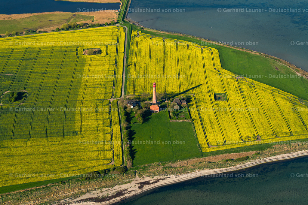 3802236 | Raps-Feldstrukturen am Leuchtturm Flügge, Fehmarn