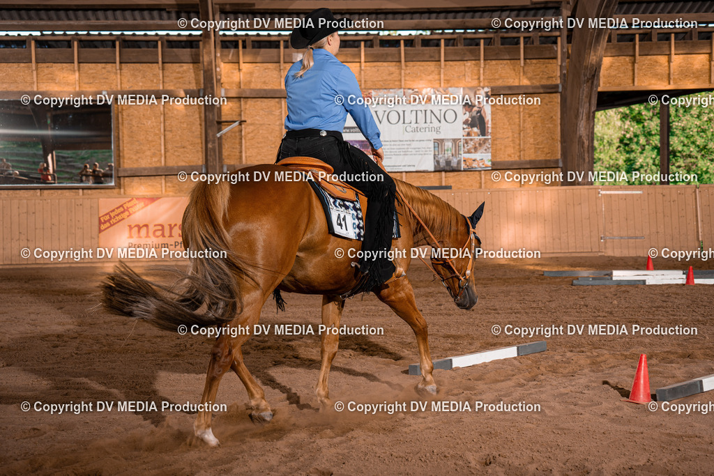 NE101288 | dv-media-shop - Realisiert mit Pictrs.com