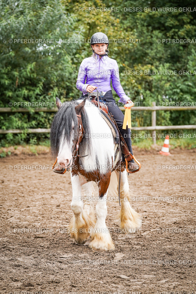 DSC03944 | Pferdegrafie