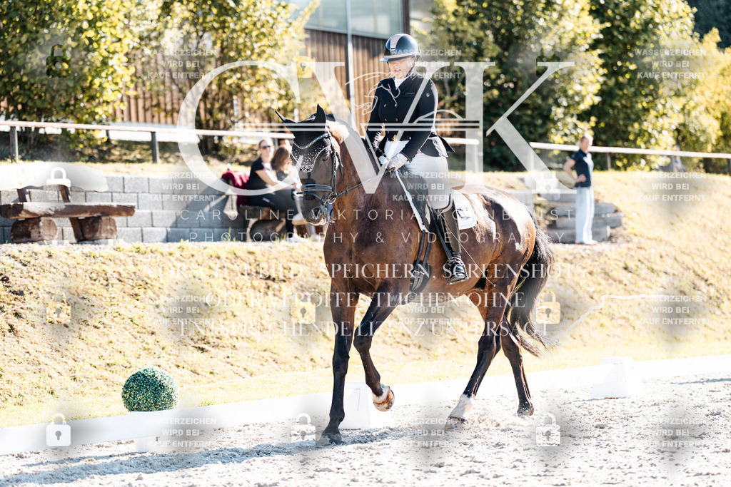 CK906186 | Turnierfotografie Pferdefotografie Trier Rheinland-Pfalz Pferdesport Reitsport Tierfotografie Sportfotografie Pferdevideo Pferdevideografie Equestrianvideography equestrianphotography  - Realisiert mit Pictrs.com