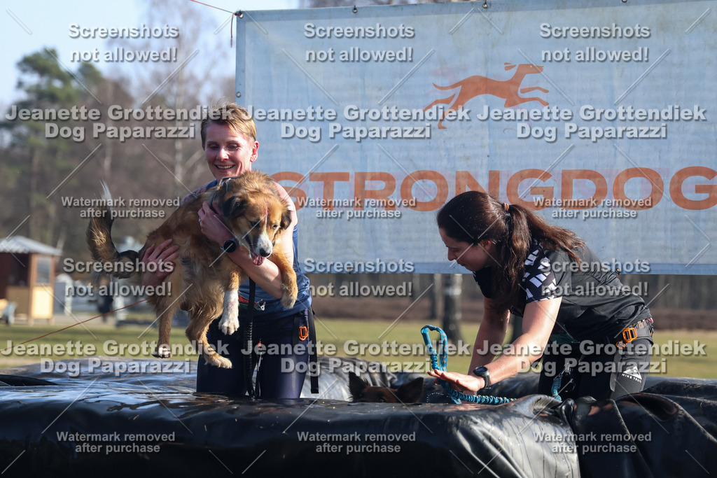 Dog Paparazzi - Strongdog North Mrz26-1275 | Dog Paparazzi Jeanette Grottendiek Fotografie & Videografie - Realisiert mit Pictrs.com