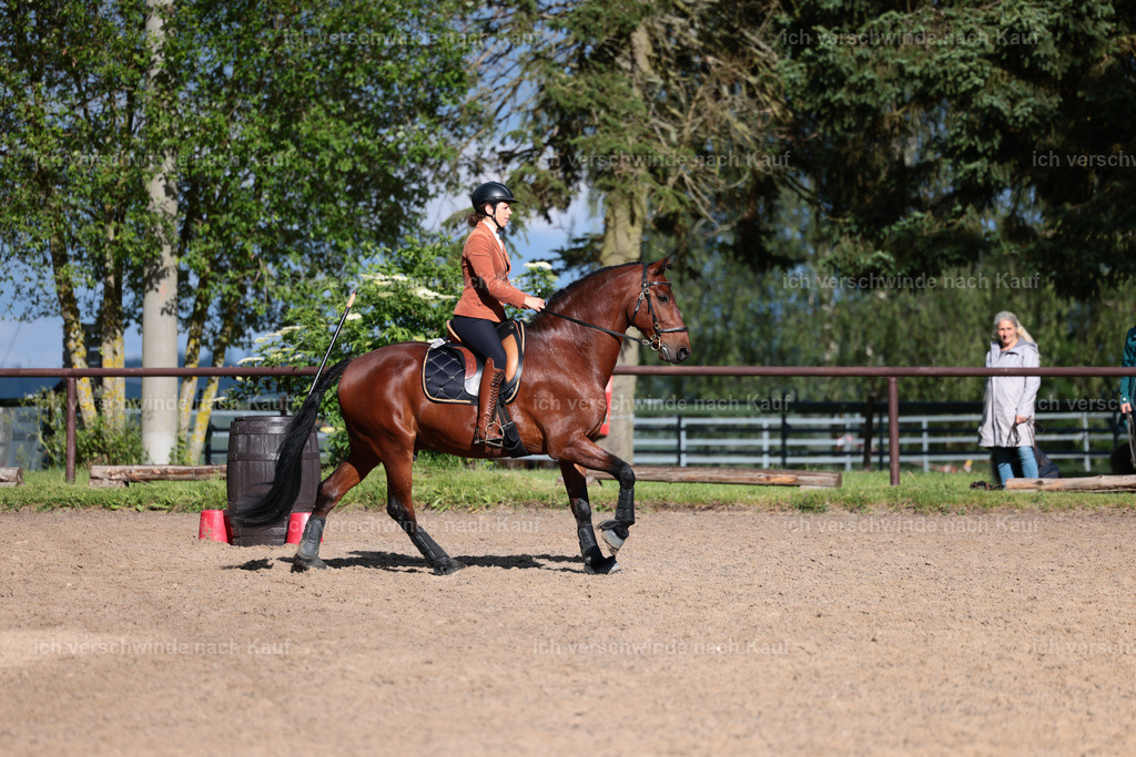 KlasseL_Stoibphotography_CAM24043.JPG | working equitationturnier fotograf videograf stoibphotography marixx film working equitation deutschland reitsport turnierfotografie eventfotografie equestrian events